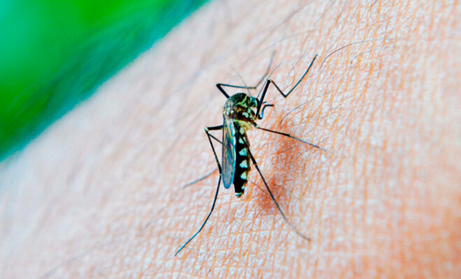 Puebla: Continúan en observación los casos del dengue y COVID-19