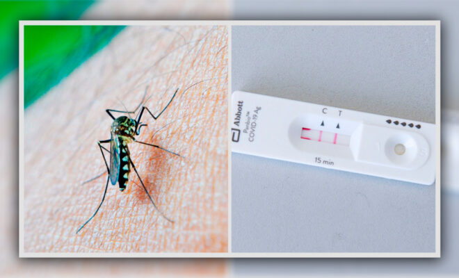 Cero nuevos casos de dengue y solo dos de COVID-19 en Puebla