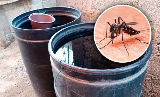 En Puebla reportan tres hospitalizaciones por dengue en las últimas 24 horas