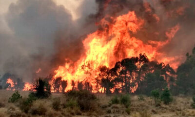 Inicia temprana temporada de incendios forestales en Xiutetelco