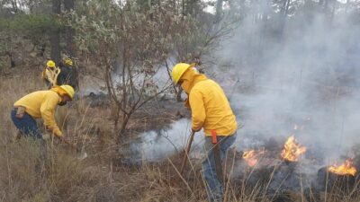Gobierno de Puebla Impulsará Reforma para Sancionar a Responsables de Incendios Forestales