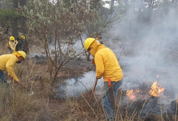Gobierno de Puebla Impulsará Reforma para Sancionar a Responsables de Incendios Forestales