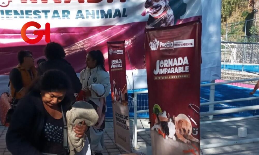 Puebla realiza una jornada de Bienestar Animal en el barrio de Xonaca