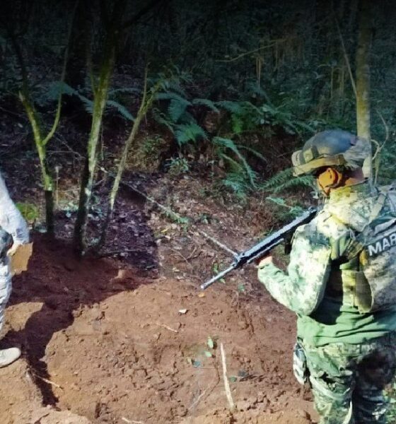 Acciones destacadas del Gabinete de Seguridad del 11 de diciembre