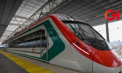 tren México Puebla Veracruz